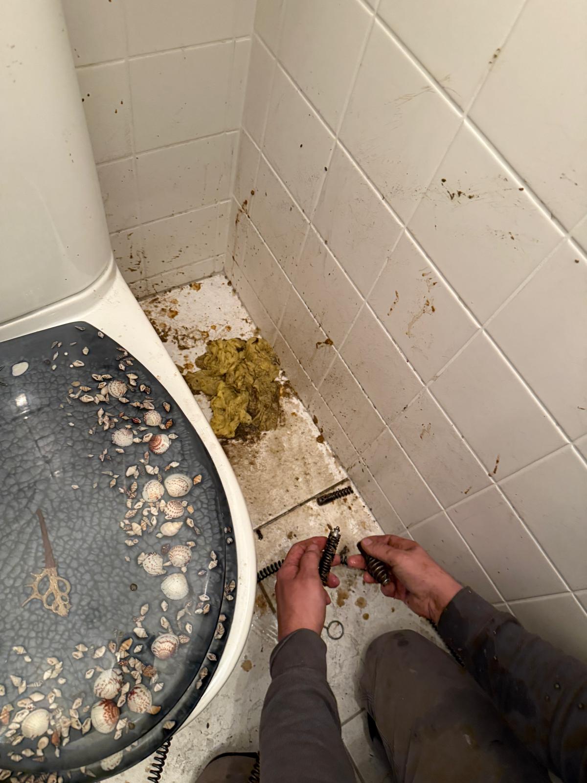 Verstopfung 1210 Wien